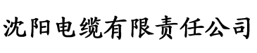 理论片大全免费网观看电缆厂logo